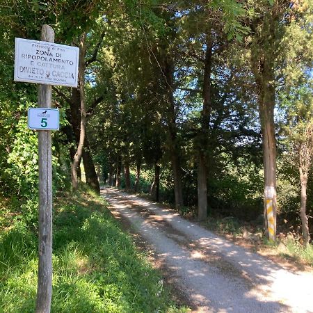 Le Giuncaie - Vigna Con Alloggio Монтескудайо Екстер'єр фото