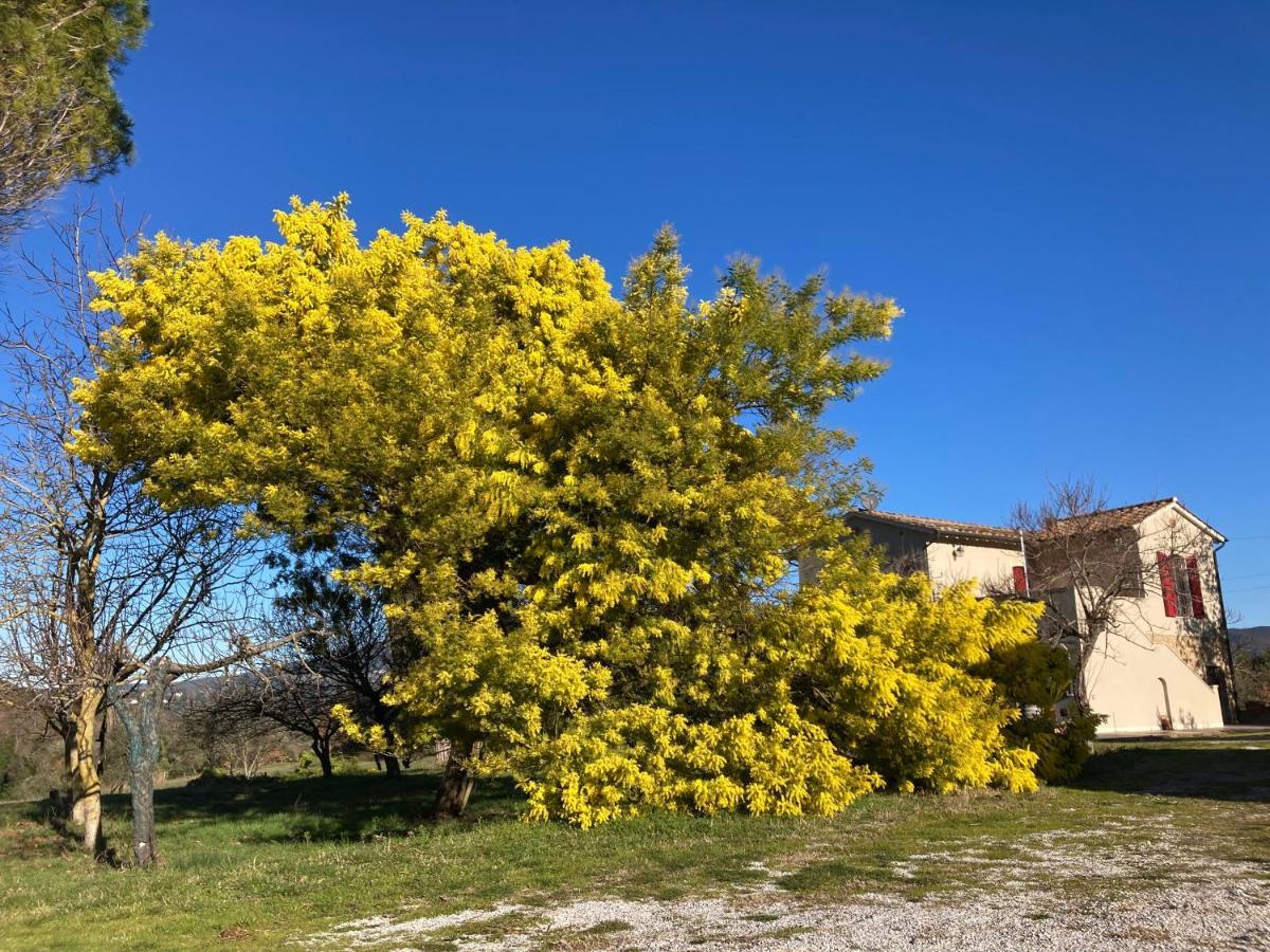 Le Giuncaie - Vigna Con Alloggio Монтескудайо Екстер'єр фото